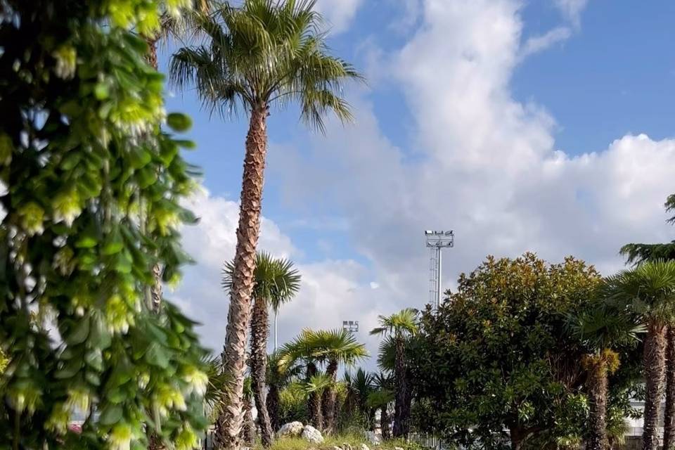 Finca Villariza