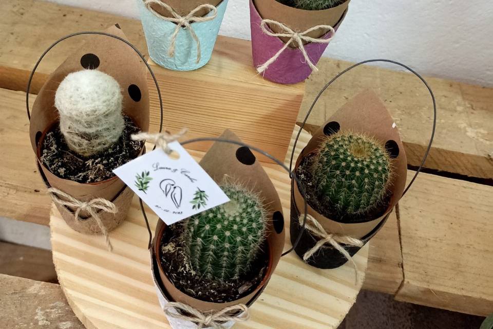 Cesta cactus