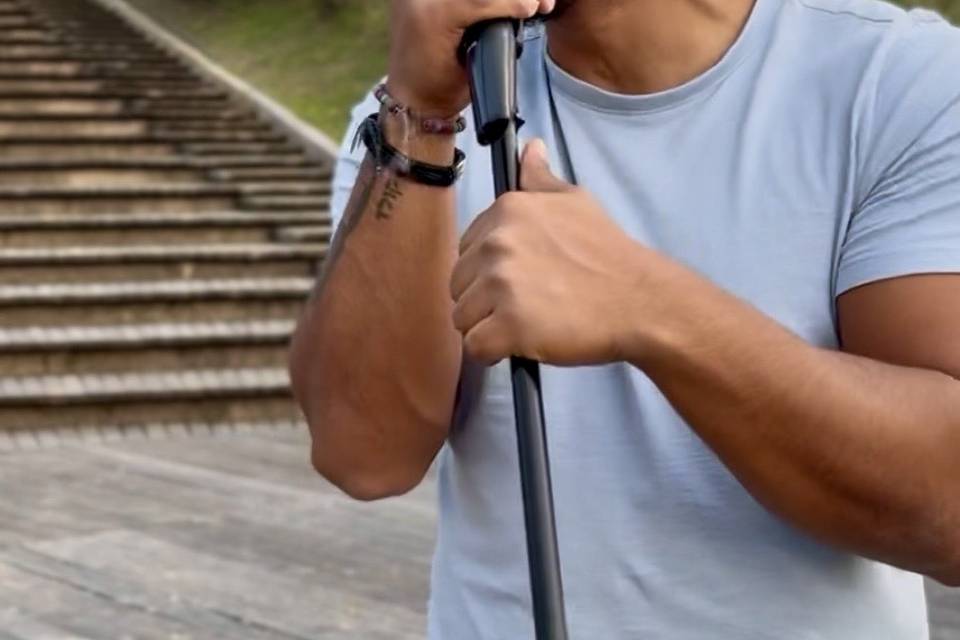 El cantante
