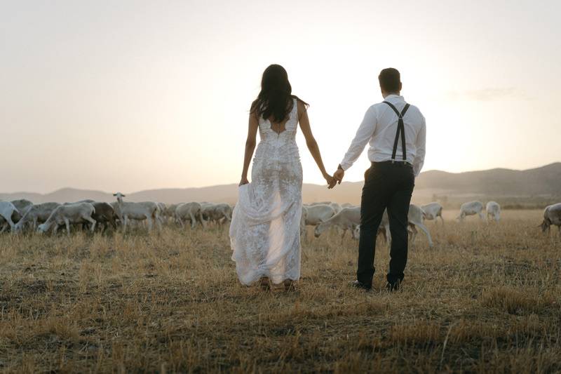 Cabras