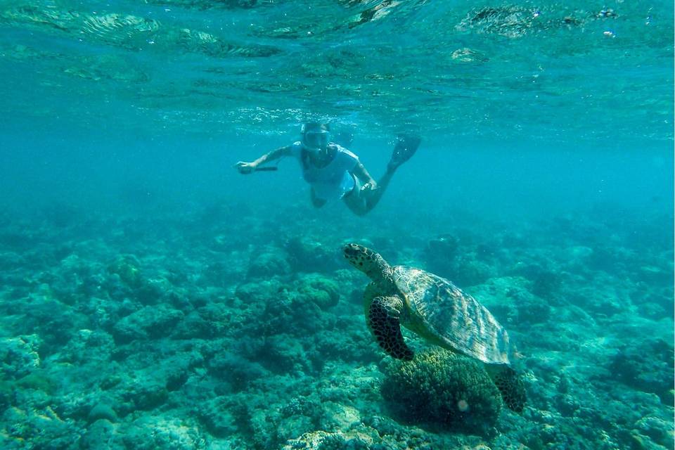 Snorkel en Gili Islands