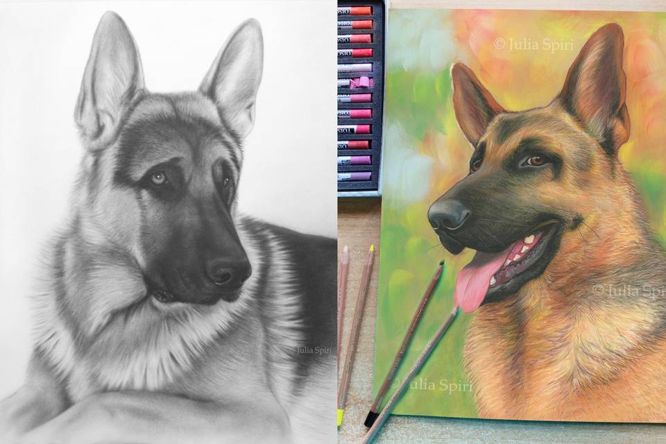 Retratos de mascota