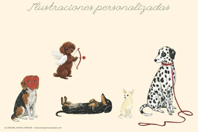 Ilustraciones personalizadas