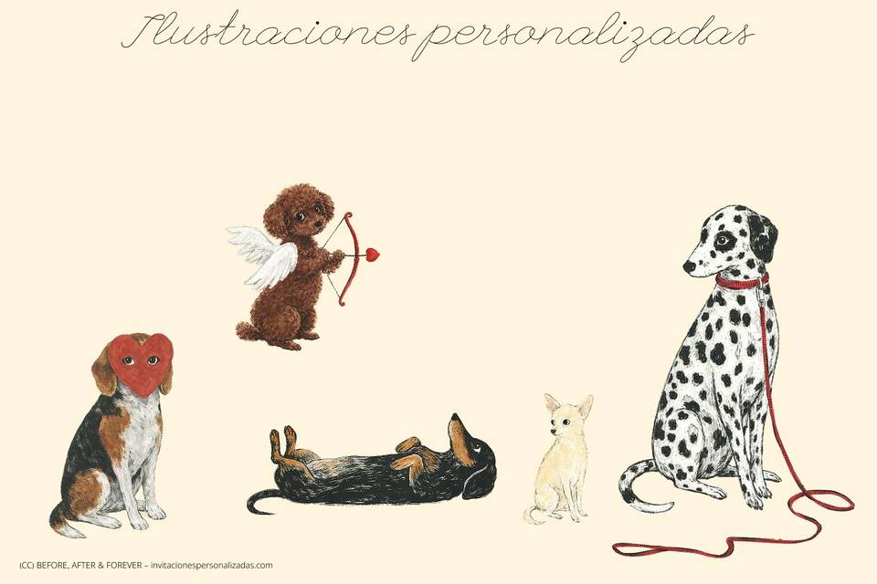 Ilustraciones personalizadas