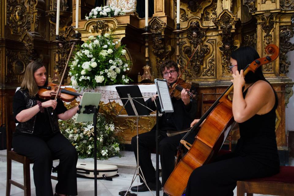 Trío de cuerda en la iglesia