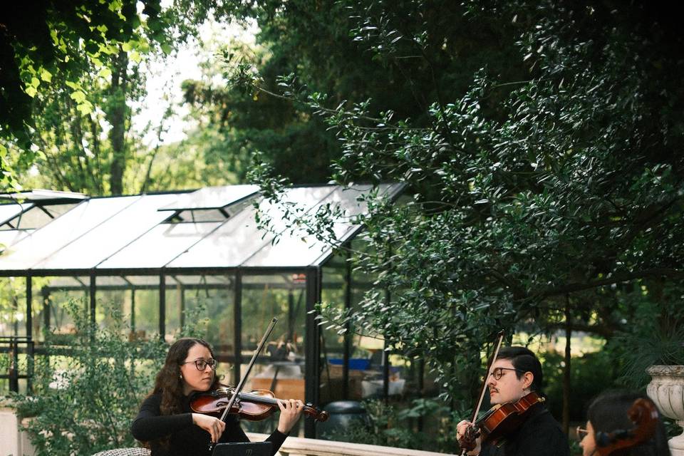 Les Trois Cordes en ceremonia