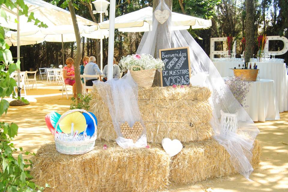 Hacienda El Pinar de Manabrán