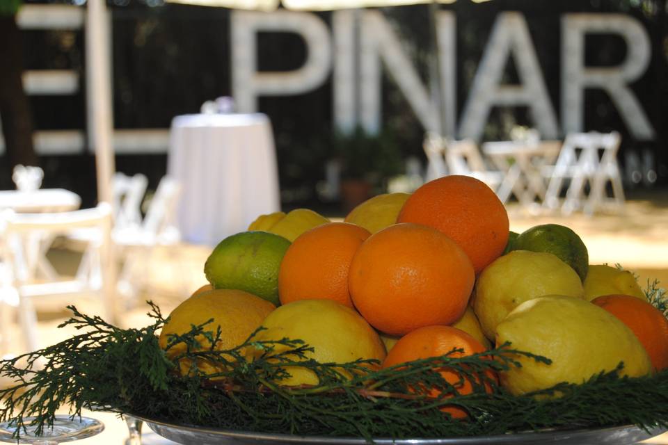 Hacienda El Pinar de Manabrán