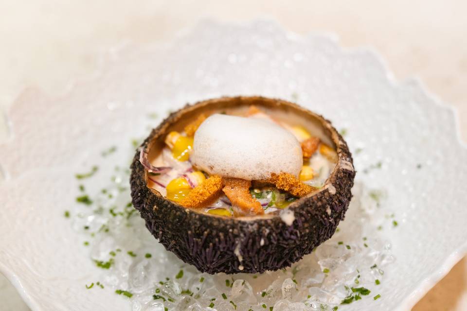Ceviche de erizo de mar
