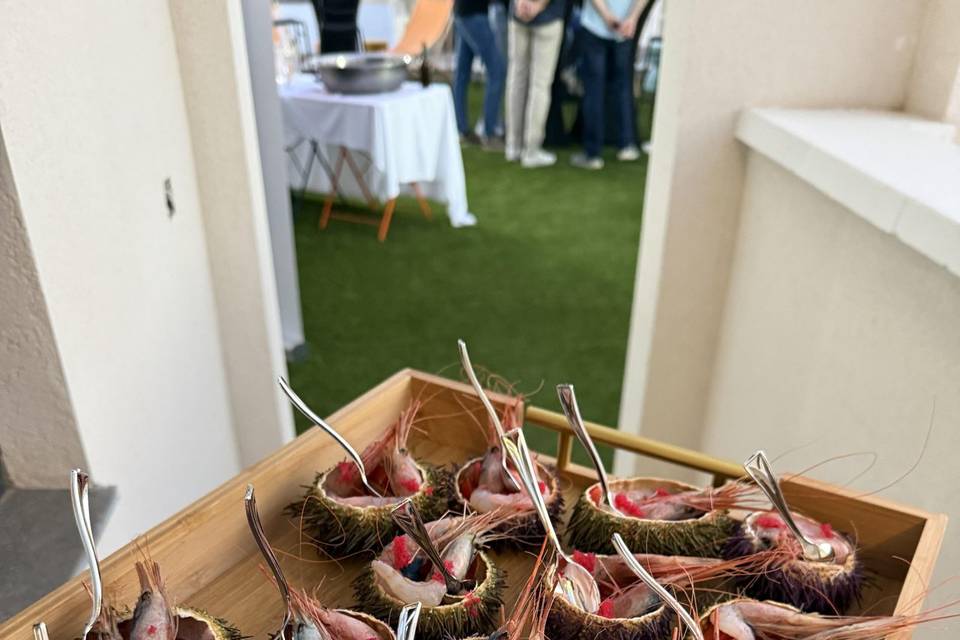 Ceviche de quisquilla