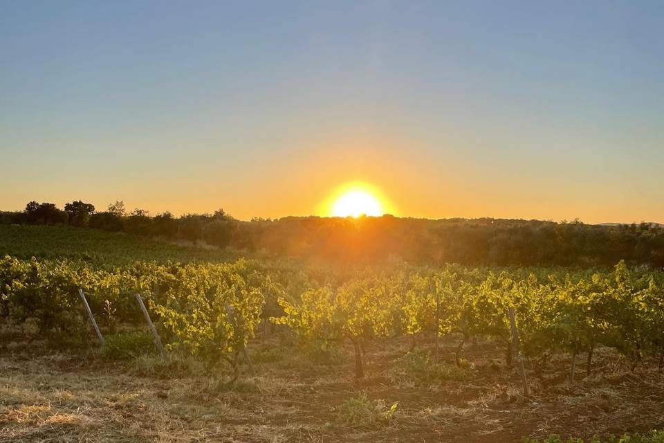 Atardecer mágico