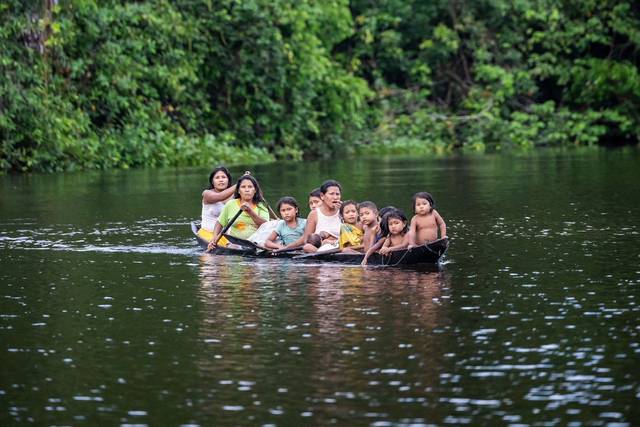 Amazonía salvaje: ríos y selva