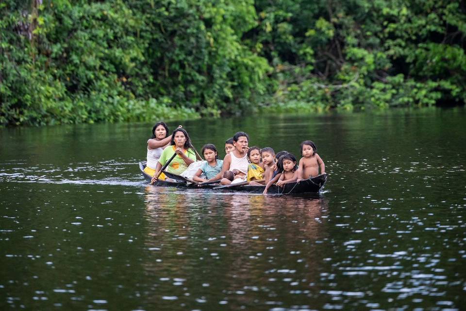 Amazonía salvaje: ríos y selva