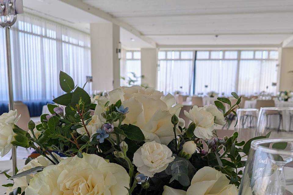 Imperial Tarraco H10