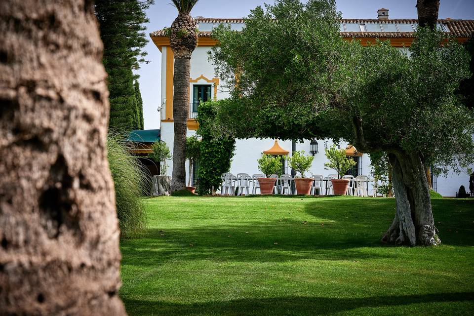 Banquete en el jardín