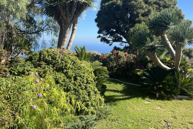 Finca El Ingeniero