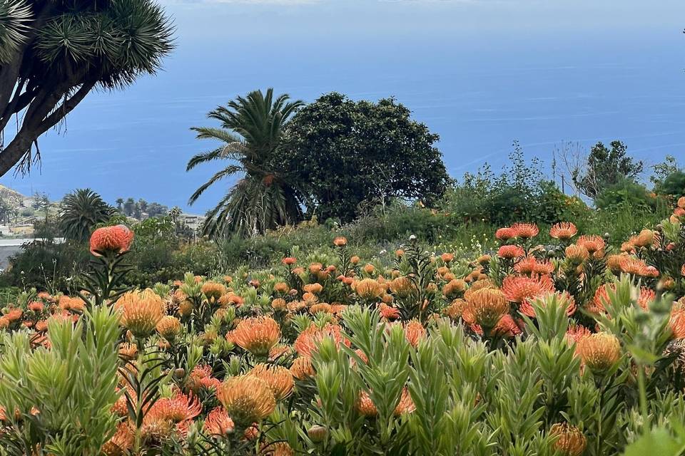 Vistas mar y montaña