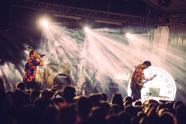 The Hawaiians Band