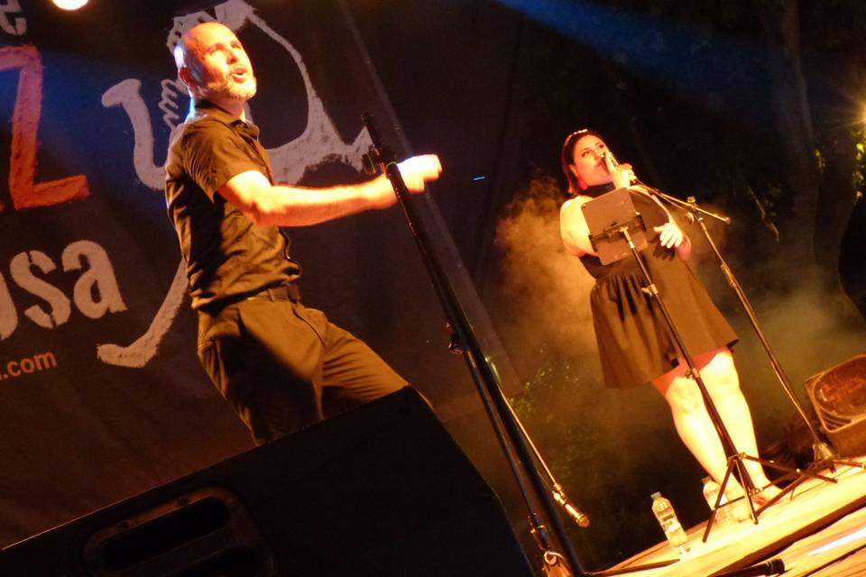 Cotton Midnight Trio en direct