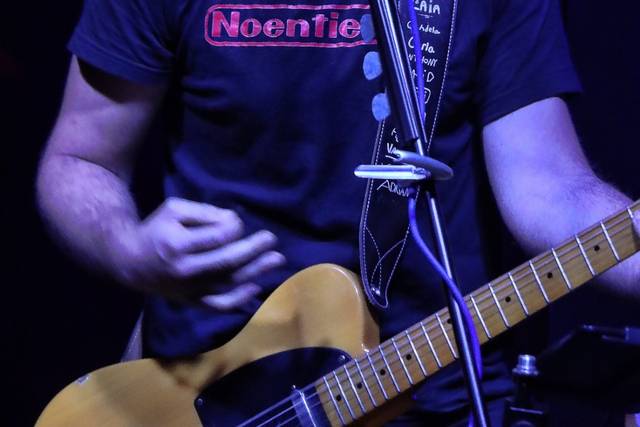 Cantante/guitarra