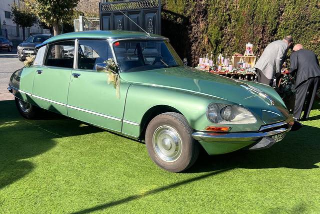 Vintage Tiburon DS