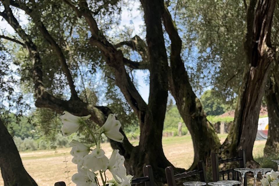 Garden style