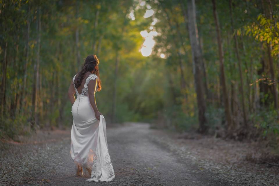 Fotografías de boda