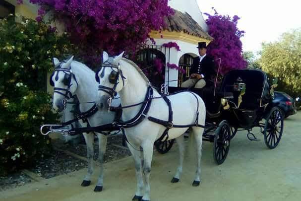 Boda en cortijo de Jerez