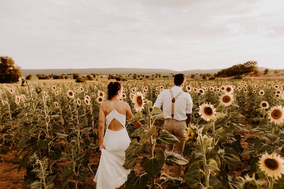 Postboda