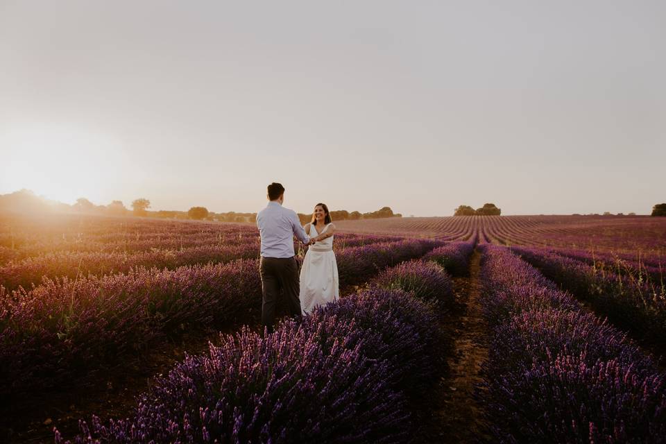 Lavandas y atardecer