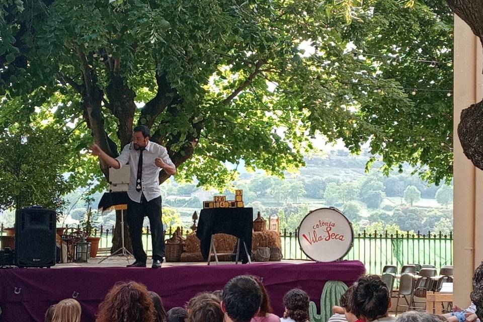 Festa
