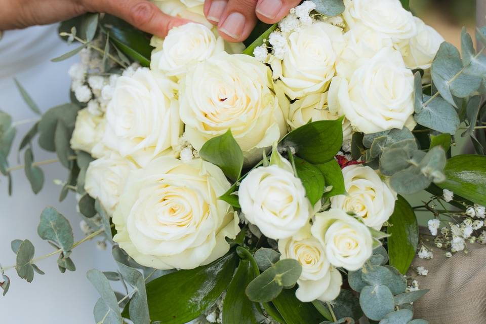 Col Visual Weddings