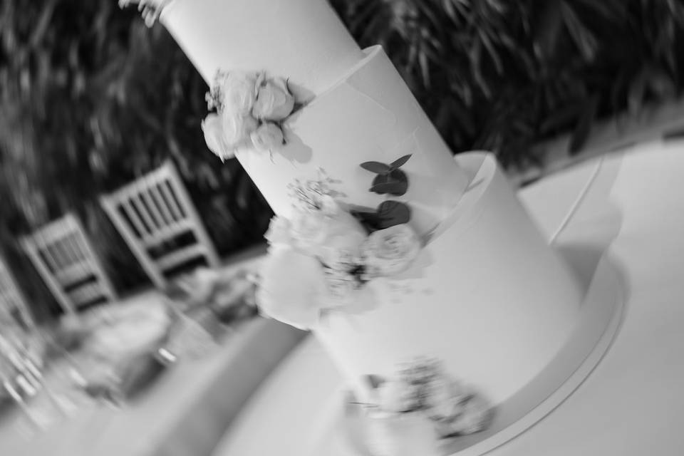 Col Visual Weddings