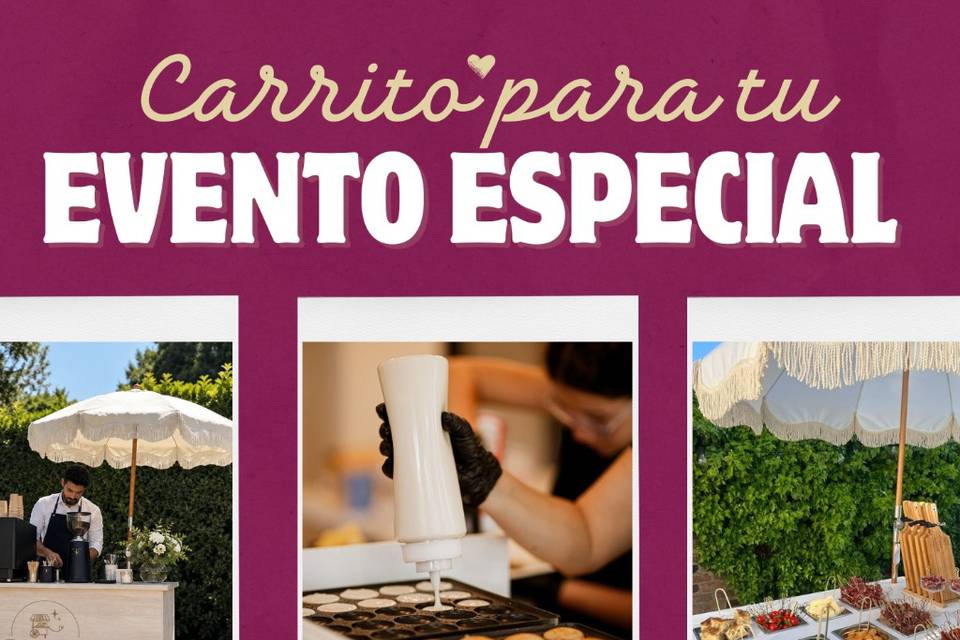Nuestros servicios