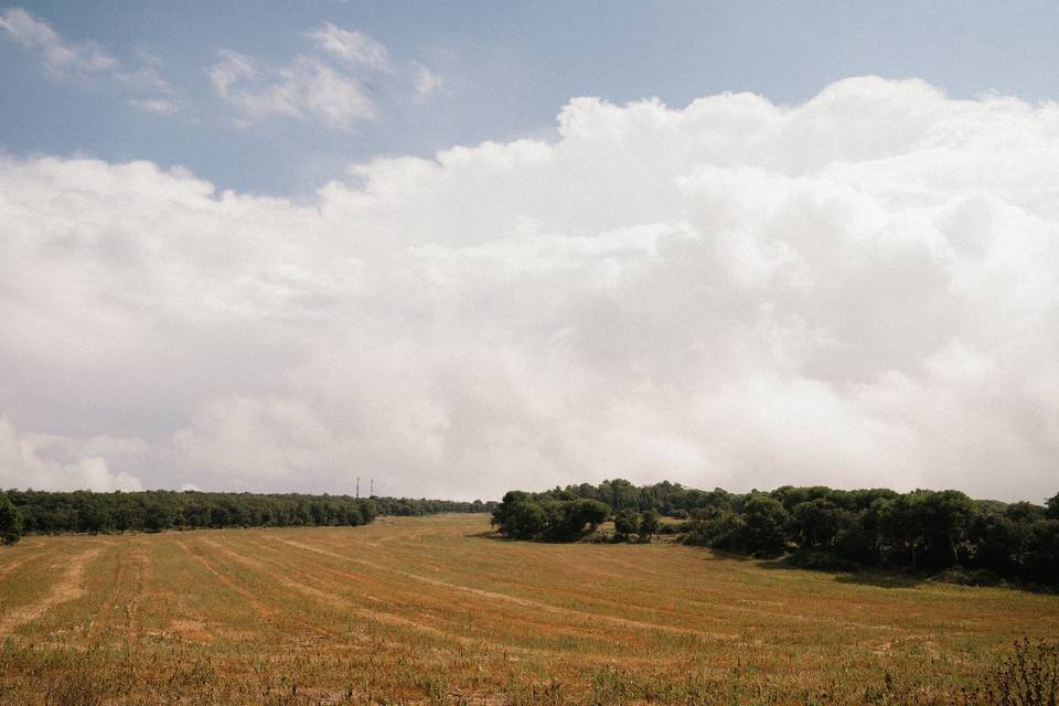 Mas el cerdà