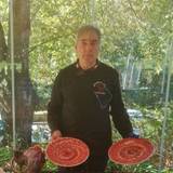 Jose Manuel Herrero