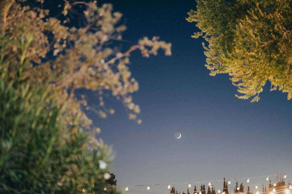 Fotógrafo boda Ciudad Real