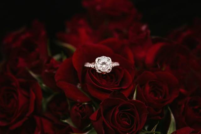 Anillo Rosa