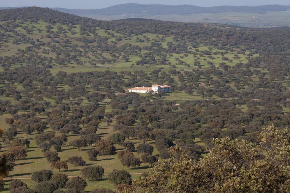 Vista de conjunto