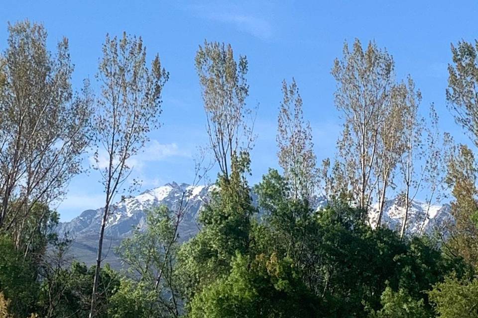Vistas a Gredos