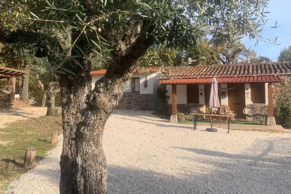 Alojamientos en la finca