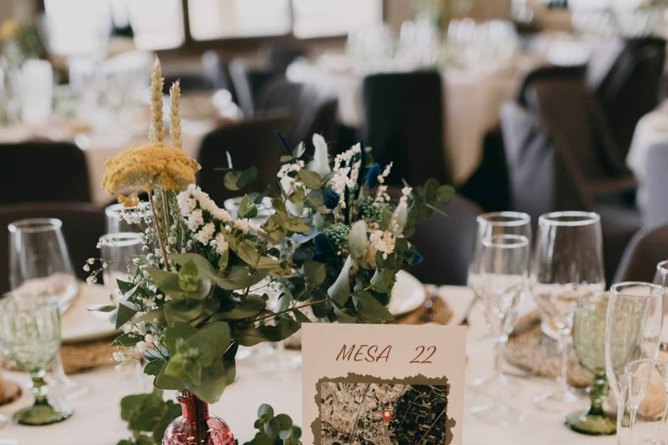 Mesa 7