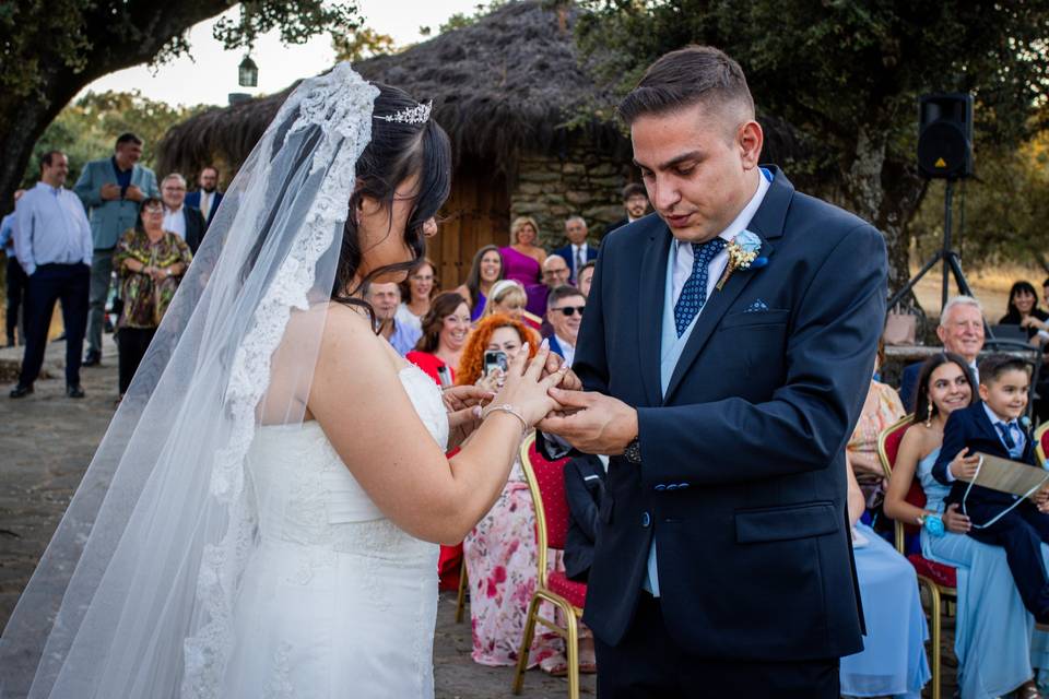 Celebrando el amor