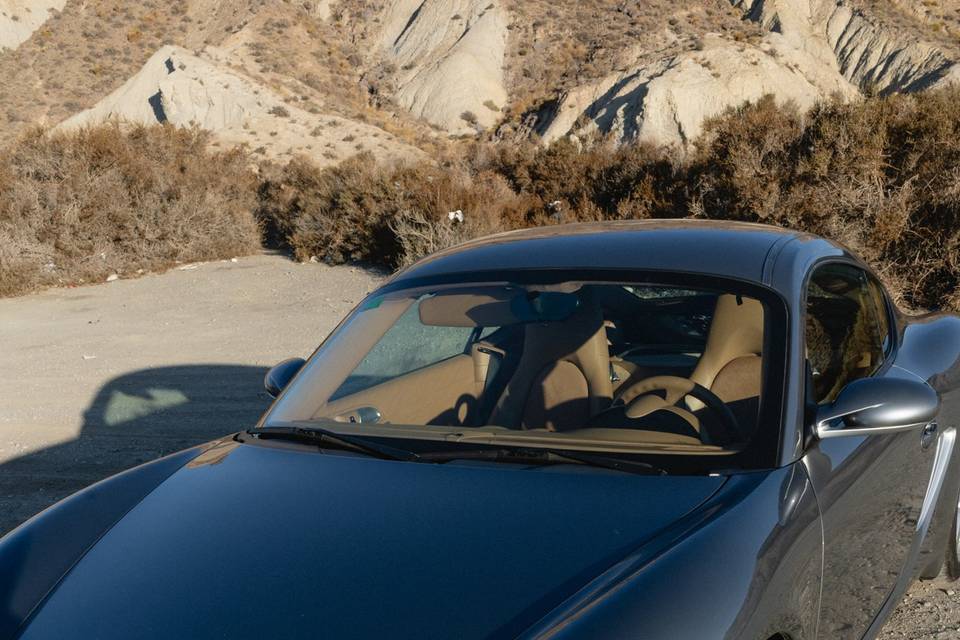 Porsche Cayman S