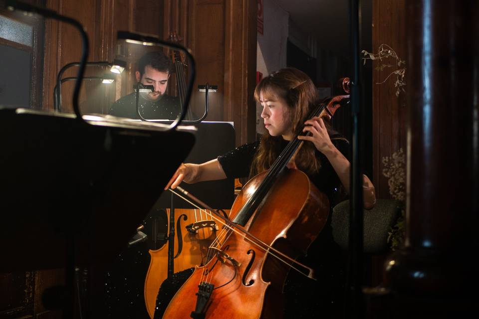 Música para eventos
