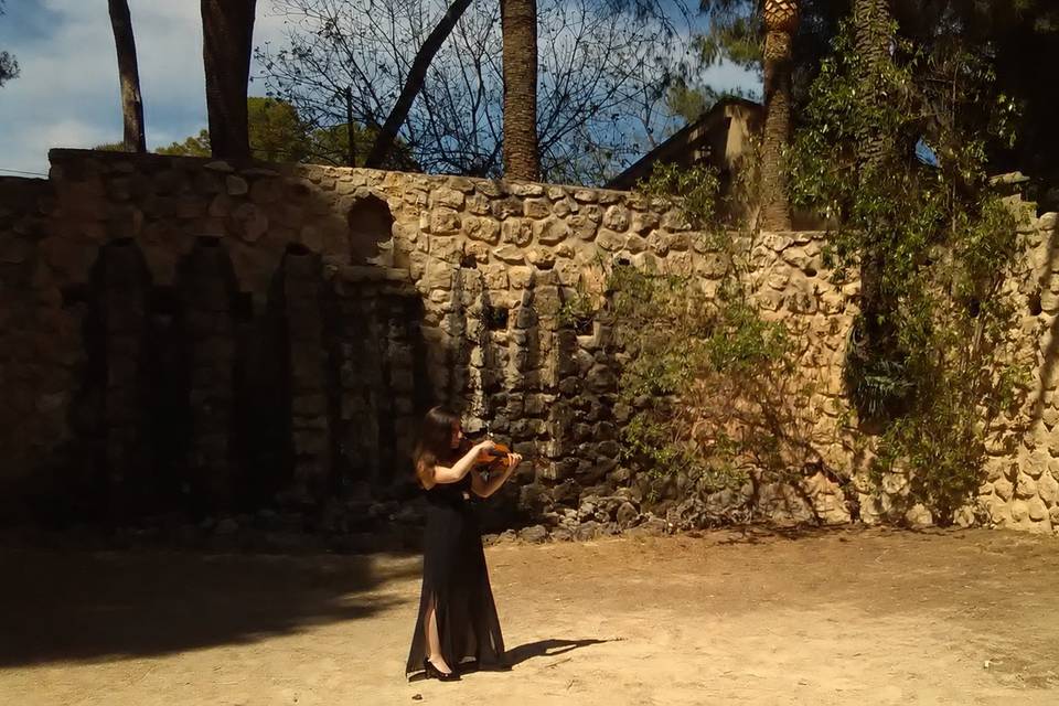 Mi Violinista