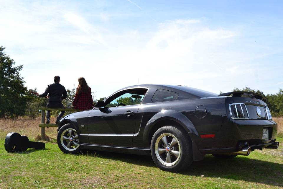 Mustang bdas