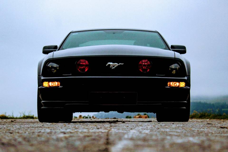 Morro del coche Ford Mustang
