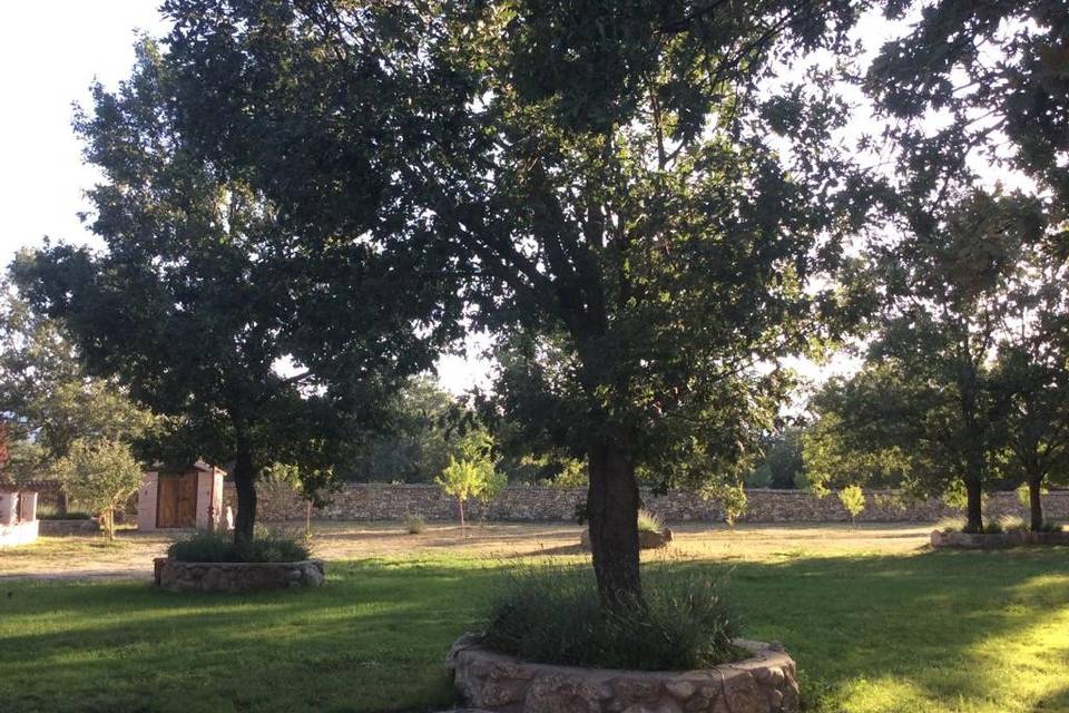 Finca El Robledo