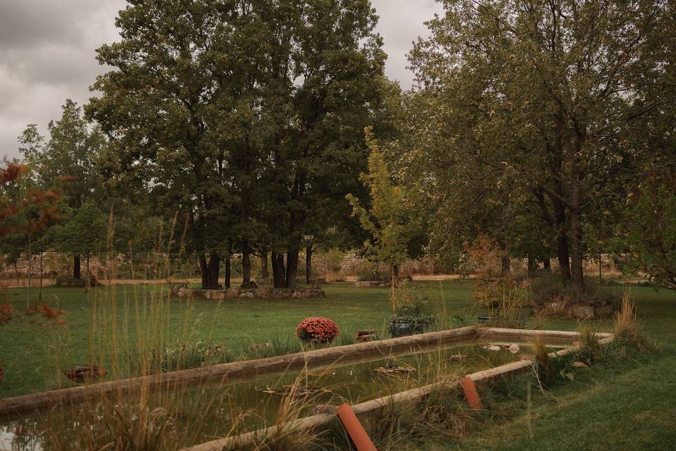Naturaleza